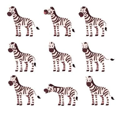 Set of zebra Stock Illustration
