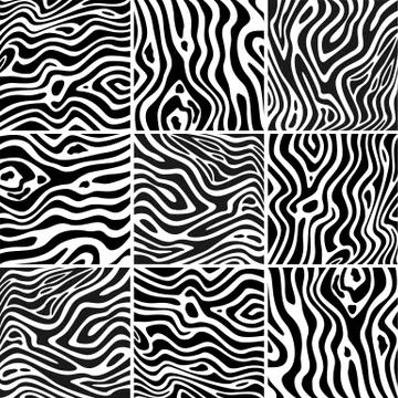 Set zebra texture black and white Stock Illustration