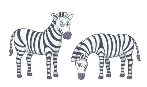 Set of Zebras Stock Illustration