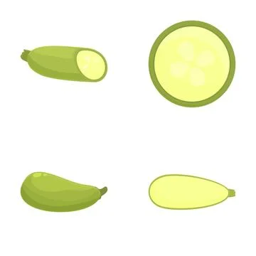 Set of zucchini illustrations in various views Stock Illustration