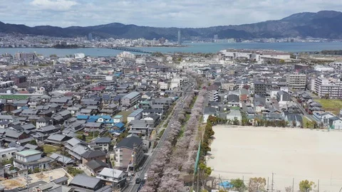 Seta and Otsu City in Spring, Kansai region of Japan Aerial View Vídeo Stock 130005887