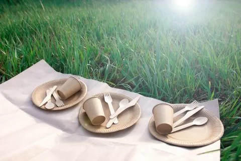 Sets of disposable biodegradable tableware in nature. Stock Photos