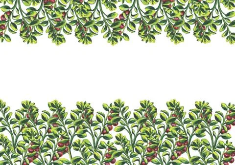 Sets, frames bouquets of fruits and berries. Isolated on white background. Wa Stock Illustration