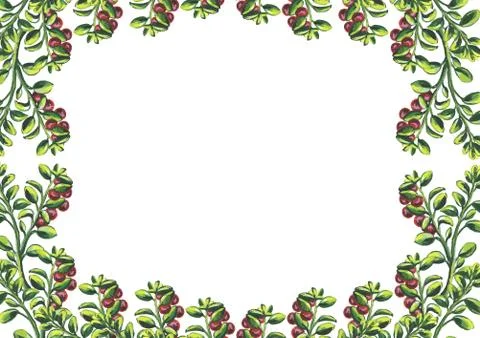 Sets, frames bouquets of fruits and berries. Isolated on white background. Wa Stock Illustration