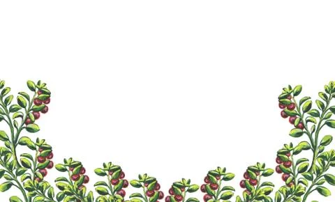 Sets, frames bouquets of fruits and berries. Isolated on white background. Wa Stock Illustration
