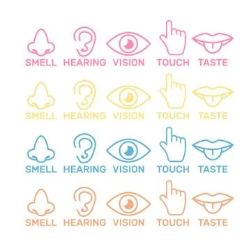 Sets of icons representing the five senses. Sight, smell, hearing, touch, tas Stock Illustration