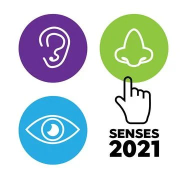 Sets of icons representing the five senses. Sight, smell, hearing, touch, tas Stock Illustration