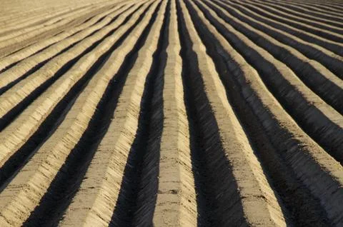 Sets of lines made of stone and concrete extending forward Stock Photos