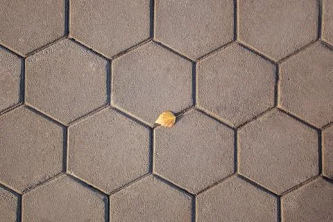 Sett hexagon, autumn Stock Photos