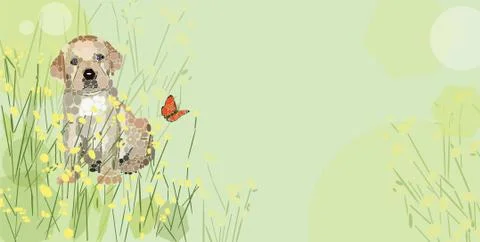 Setter Stock Illustration