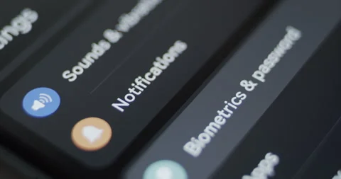 Setting Biometrics and Passwords Security on a Smartphone Device Stock Footage 249098382