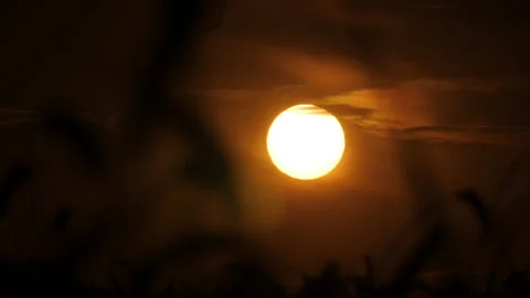 Setting bright sun through the dark silhouettes of ears of wheat 스톡 동영상 172556654