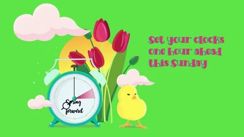 Setting clocks ahead. DST saving time banner animation with tulips, sunset Stock Footage 170325999