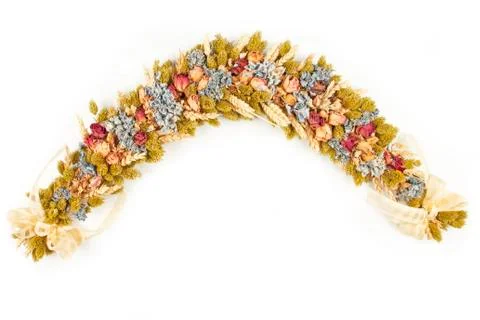 Setting of dried flowers Stock Photos