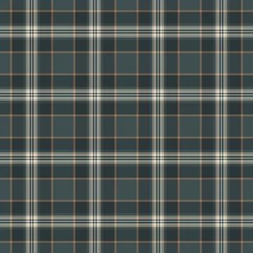 Setting fabric texture tartan, part seamless textile pattern. Paisley check.. Stock Illustration