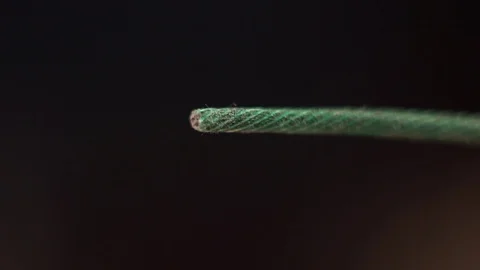 Setting fire to wick of the bomb dynamite or petard in slow motion Stock Footage 108985485