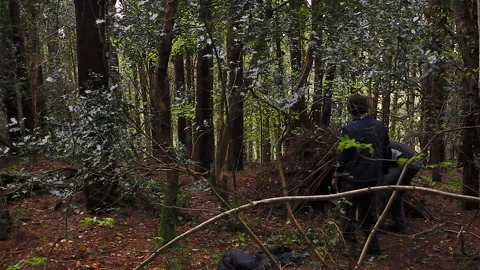 Setting up a handbuilt  shelter in a forest Stock Footage 236711952