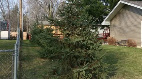 Setting up Holiday Lawn Decorations Stock Footage