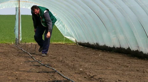 Setting up irrigation systems in greenhouses. Stock Footage 64974477