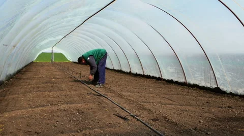 Setting up irrigation systems in greenhouses. Stock Footage 64974487