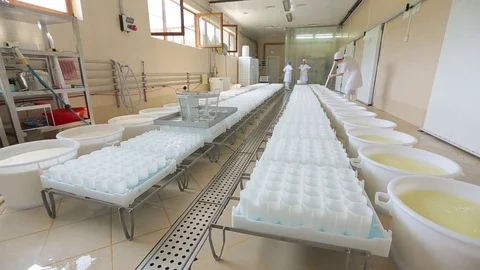 Setting milk for cheese Stock Footage 73785704