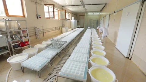 Setting milk for cheese Stock Footage 73785792