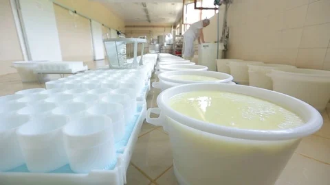 Setting milk for cheese Stock Footage 73786218