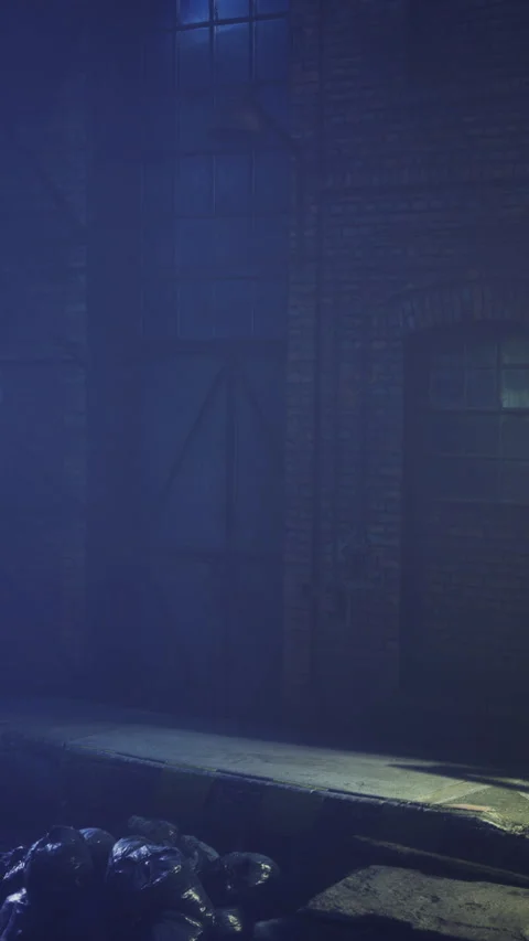 Setting near a dimly lit warehouse with bags on the ground at night Stock Footage 334190678