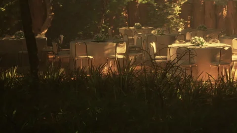 Setting for an outdoor event with tables in a garden area Stock Footage 344847578