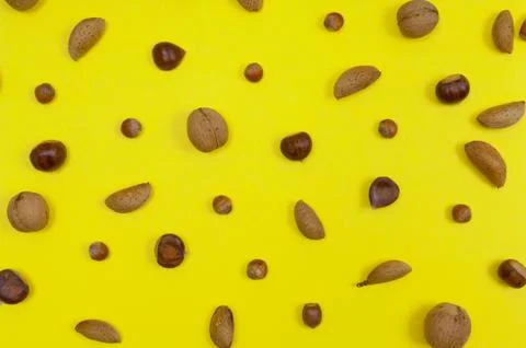Setting of in shell almonds, chestnuts, hazelnuts on yellow background Stock Photos