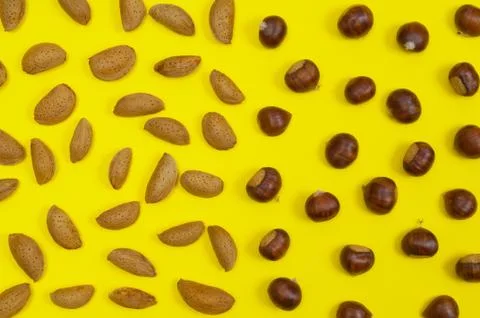 Setting of in shell almonds, chestnuts, hazelnuts on yellow background Stock-Fotos