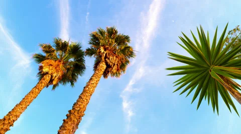 Setting Sky 2 4K Stock-Footage 32420770