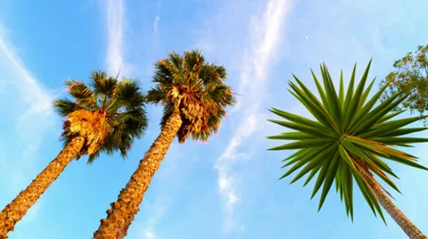 Setting Sky 2 HD Video stock 32354556