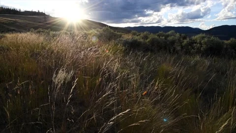 Setting sun above a grassland hillside, highlighting grass, 4k Stock Footage 152175392