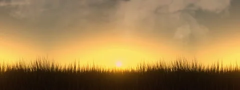 The setting sun behind the grass, grass and wheat ears, 4K Loop 스톡 동영상 246531781