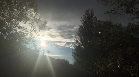 Setting sun behind tree Stock Footage 68179873