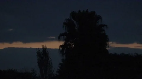 Setting Sun Behind Trees Stock Footage 91543404