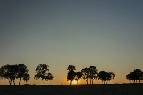 The setting sun behind trees on the horizon and cloudless sky Stock Photos