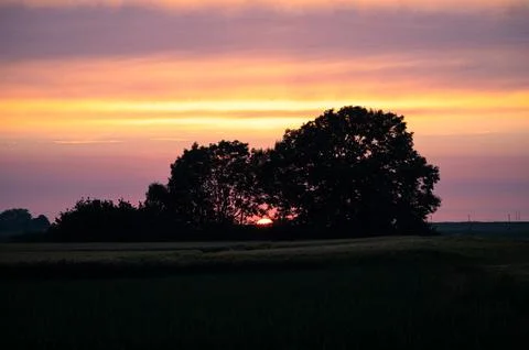 Setting sun between the trees Stock Photos