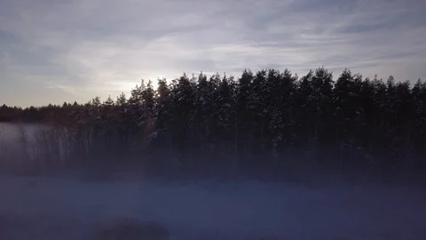 Setting sun blinking behind trees at foggy winter forest landscape Stock Footage 105166301