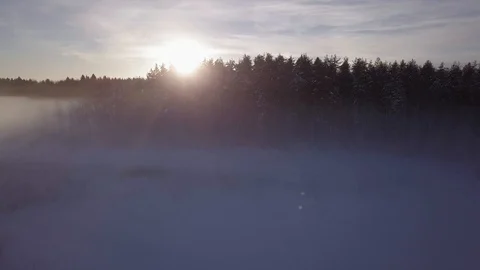 Setting sun blinking behind treetops at foggy winter landscape Stock Footage 105161829