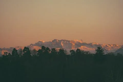 Setting sun casting golden light over snow capped mountains and dark forest Stockfoto's