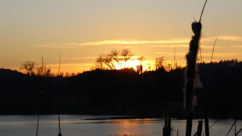Setting sun casting warm light across the lakeside landscape Stock Footage 329906496