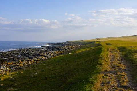 The setting sun casts long shadows over a Northumbrian beach Foto stock
