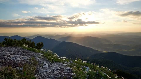 The setting sun. Flowers on the rock, ridges of hills in the sun. Stock Footage 198227074