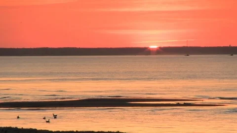 Setting sun Stock Footage 81740130