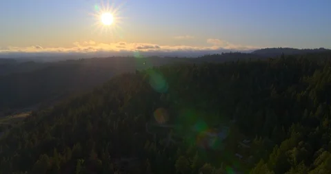 Setting Sun in Forest with God Rays and Lens Flare 库存影片 117366081