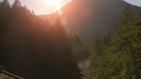Setting Sun Forest Mountain Nature Landscape Beautiful Green Sunshine Woods Hike Stock Footage 109659763