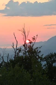 Setting sun glowing behind tree branches and mountain silhouettes Stock Photos