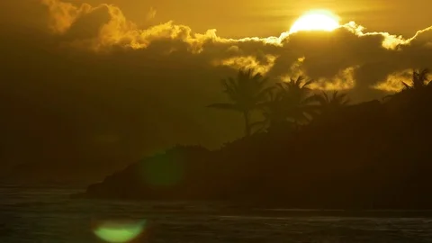 Setting sun hiding behind the clouds and palm tree silhouettes beside the sea Stock Footage 77558815